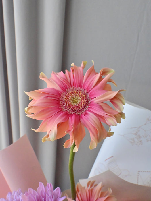 Pearl & Petals
