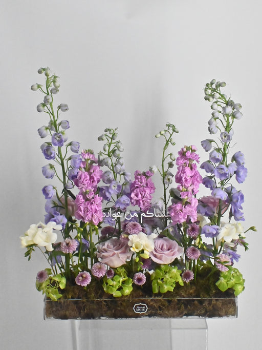 EID Special Triton Lavender