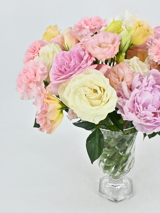 Full Bloom