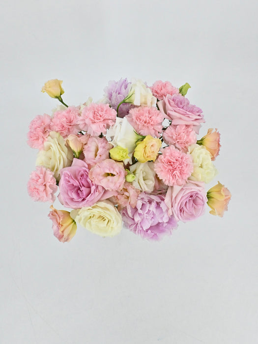 Full Bloom