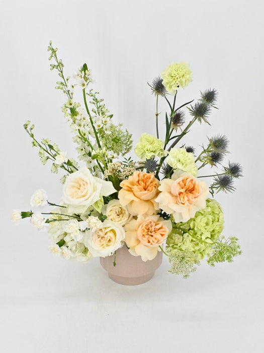 Garden Roses