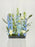 White and Blue Money Arrangement