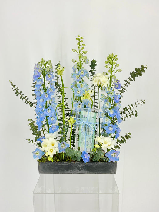 White and Blue Money Arrangement