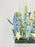 White and Blue Money Arrangement