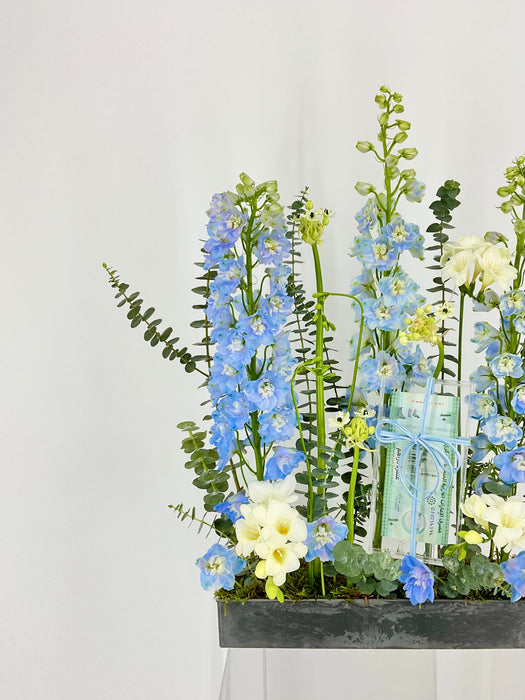White and Blue Money Arrangement