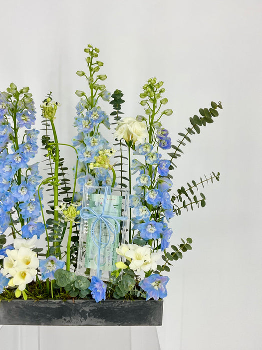 White and Blue Money Arrangement