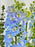 White and Blue Money Arrangement