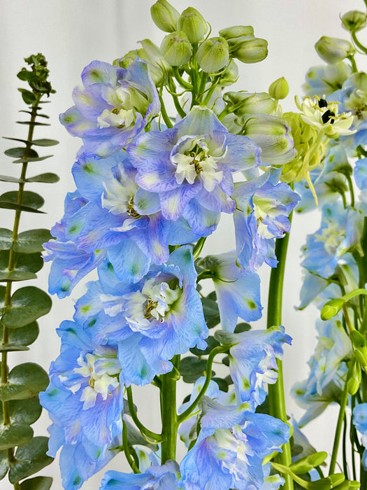 White and Blue Money Arrangement