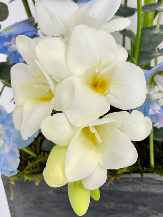 White and Blue Money Arrangement