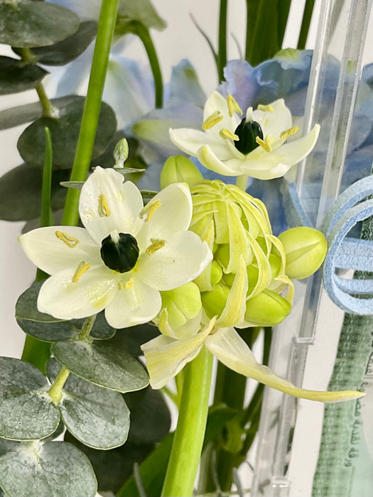 White and Blue Money Arrangement