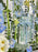 White and Blue Money Arrangement