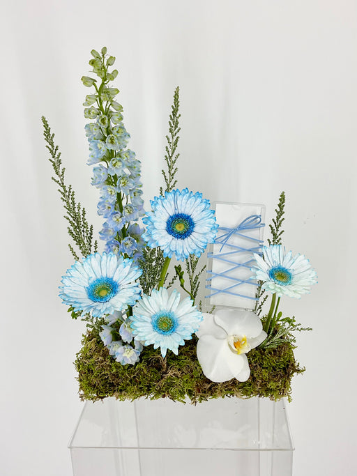 Dusty Blue Money Garden