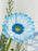 Dusty Blue Money Garden