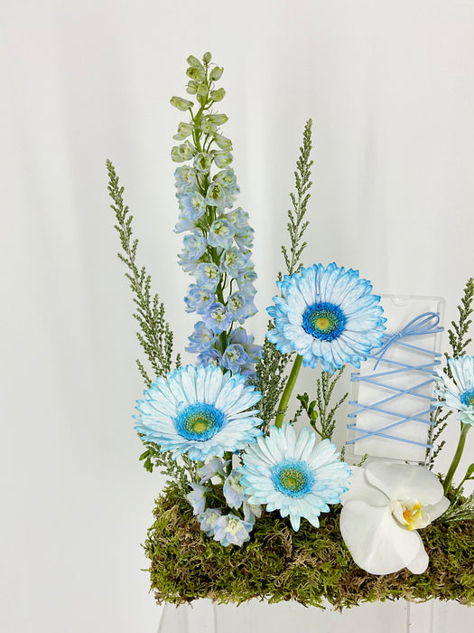 Dusty Blue Money Garden