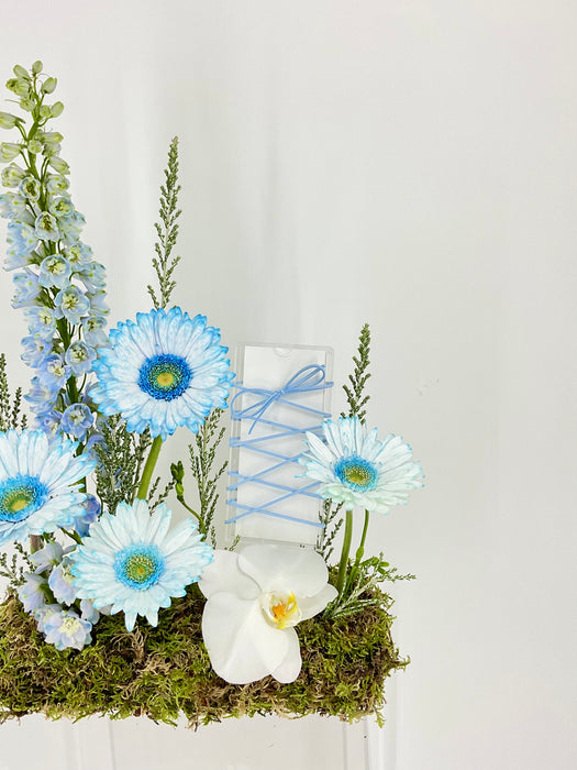 Dusty Blue Money Garden