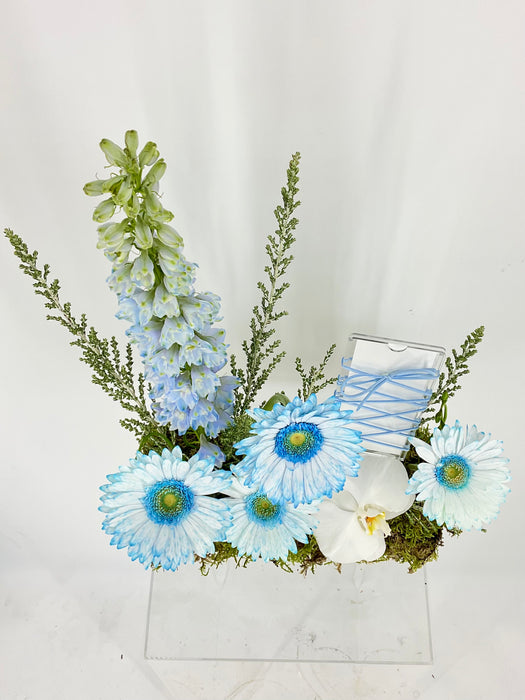 Dusty Blue Money Garden