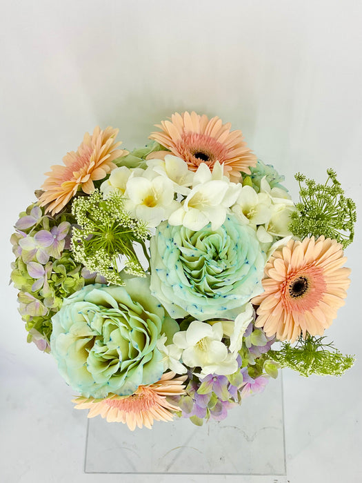 Mix Bloom