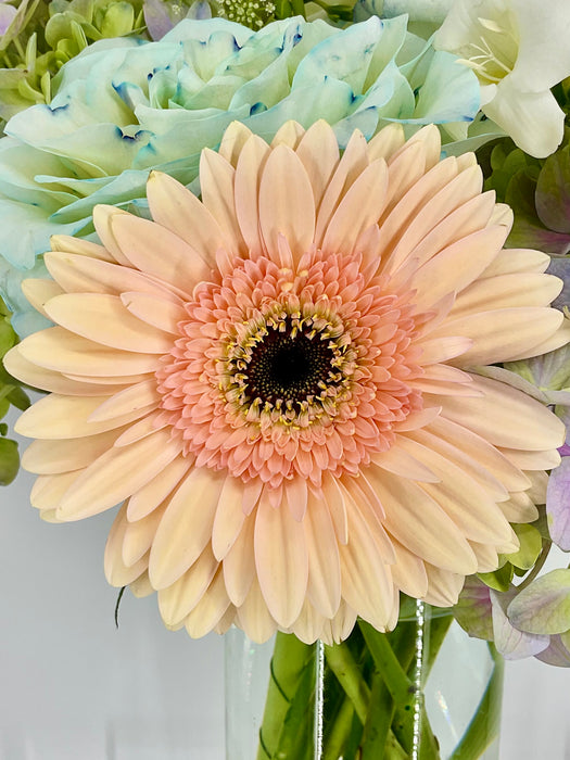 Mix Bloom