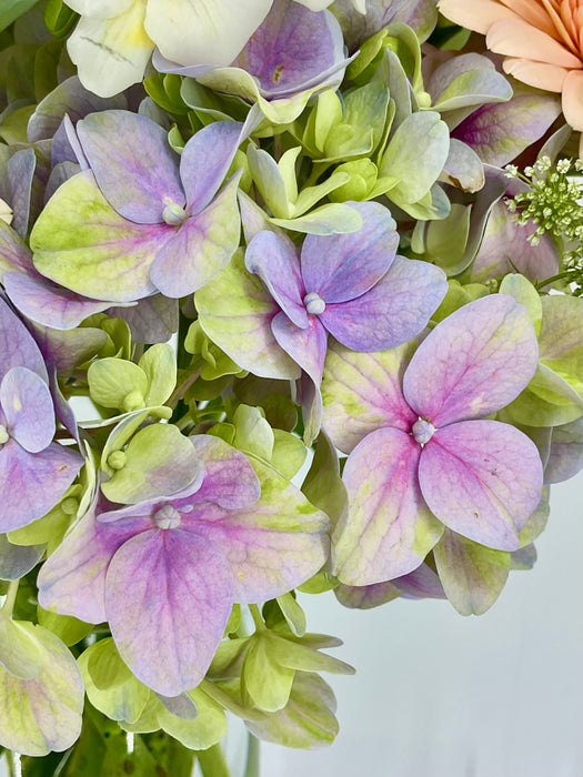 Mix Bloom