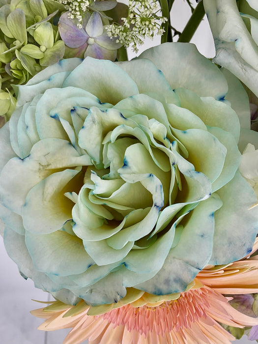 Mix Bloom
