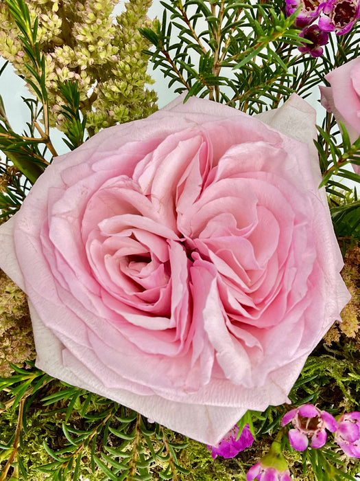 Pink Graduation Money Garden