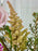 Pink Graduation Money Garden