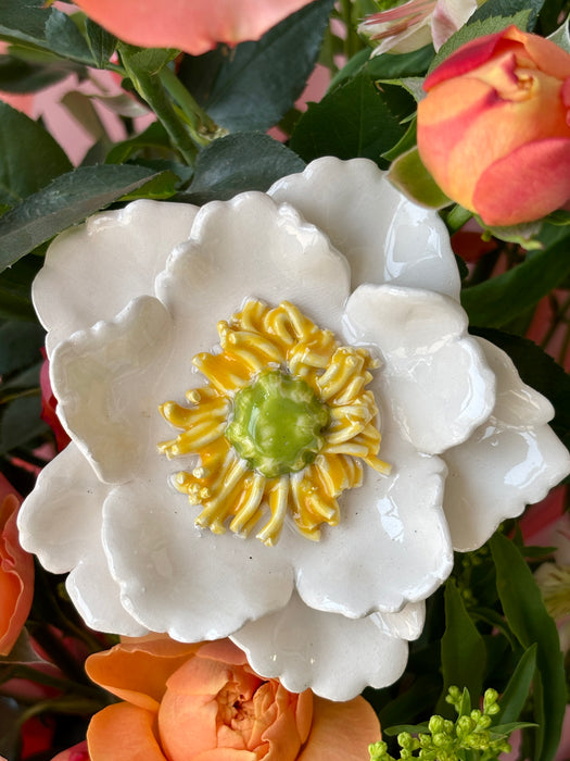 Peach Blossom Reverie