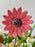 Natural Woven Flower Garden