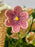 Natural Woven Flower Garden