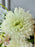 Natural Woven Flower Garden