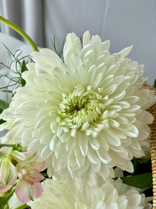 Natural Woven Flower Garden