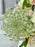 Natural Woven Flower Garden
