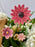 Natural Woven Flower Garden
