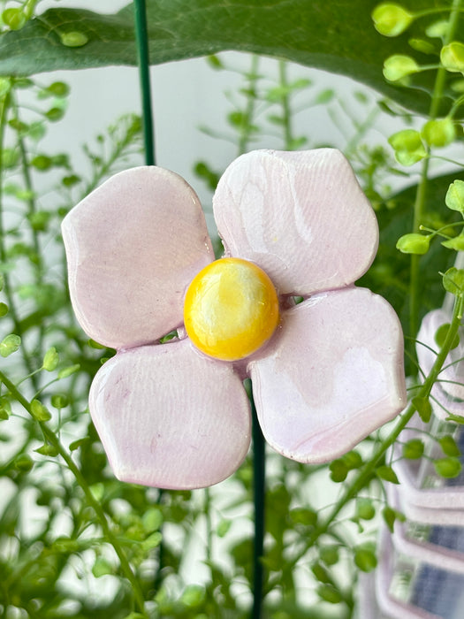 Lavender Blush Royale