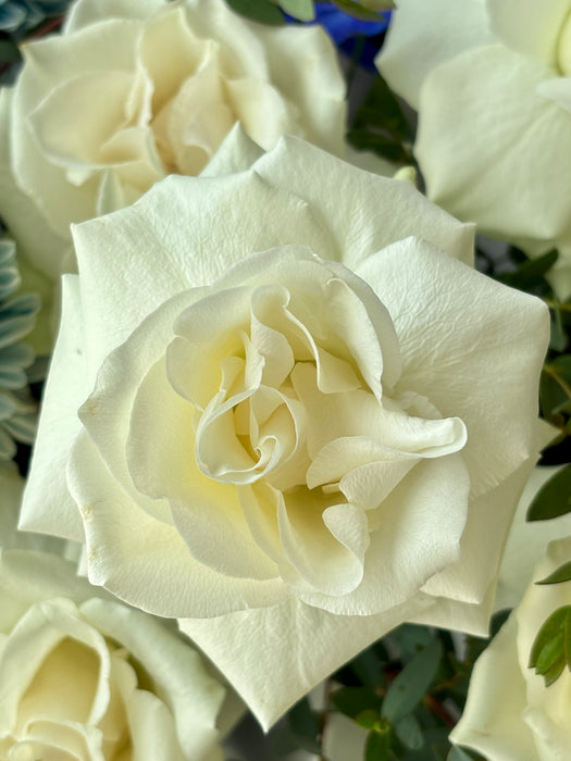 Royal Blue and Ivory Elegance Bouquet