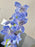 Royal Blue and Ivory Elegance Bouquet