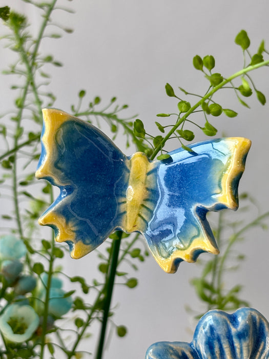 Azure Money Garden Keepsake