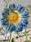 Azure Money Garden Keepsake