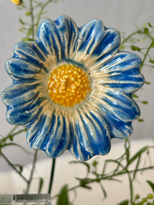 Azure Money Garden Keepsake