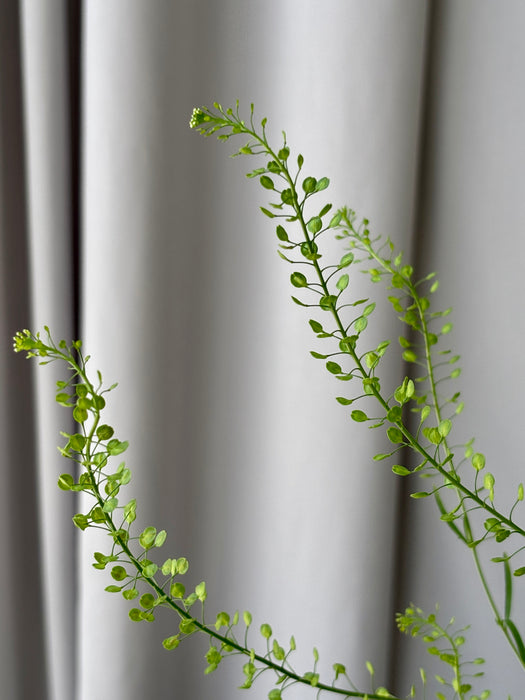 Azure Money Garden Keepsake