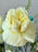 Azure Money Garden Keepsake