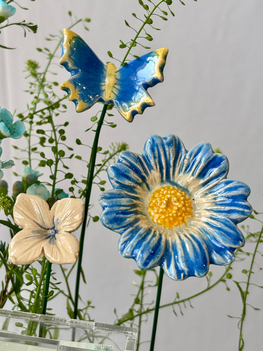 Azure Money Garden Keepsake
