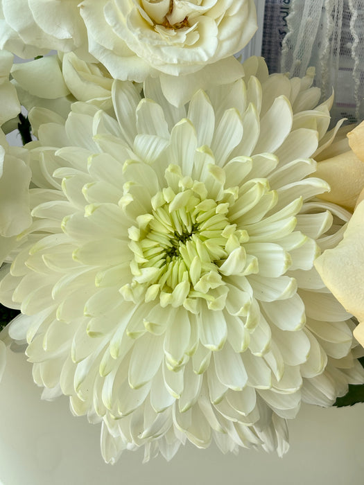 Golden Meadow Money Arrangement