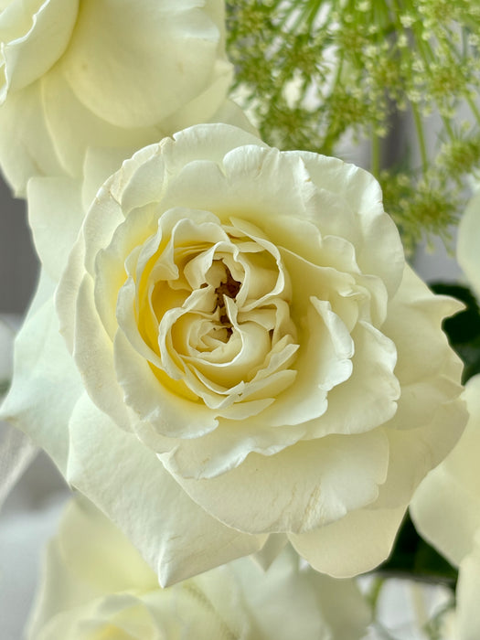 Golden Meadow Money Arrangement