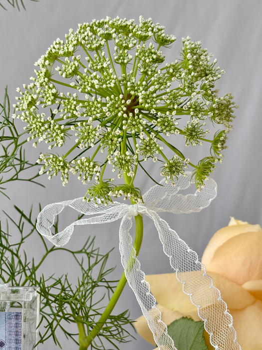 Golden Meadow Money Arrangement
