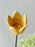 Golden Meadow Money Arrangement