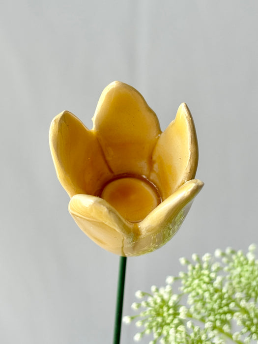 Golden Meadow Money Arrangement
