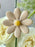 Golden Meadow Money Arrangement