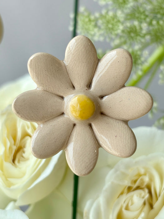 Golden Meadow Money Arrangement