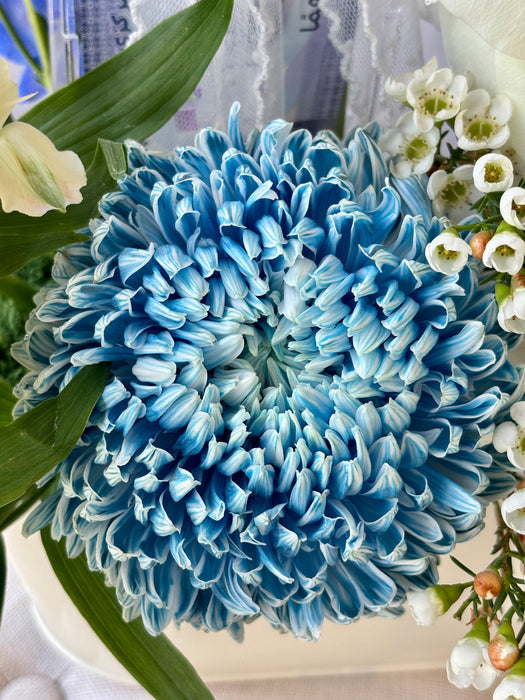 Ethereal Blue & Ivory Money Gift